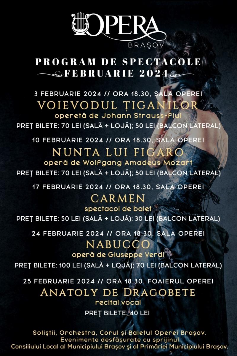 Program februarie 2024