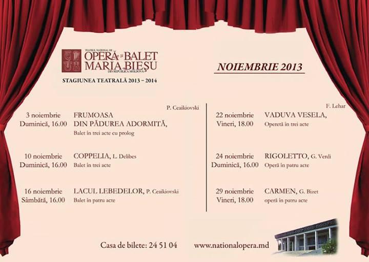 Program noiembrie 2013